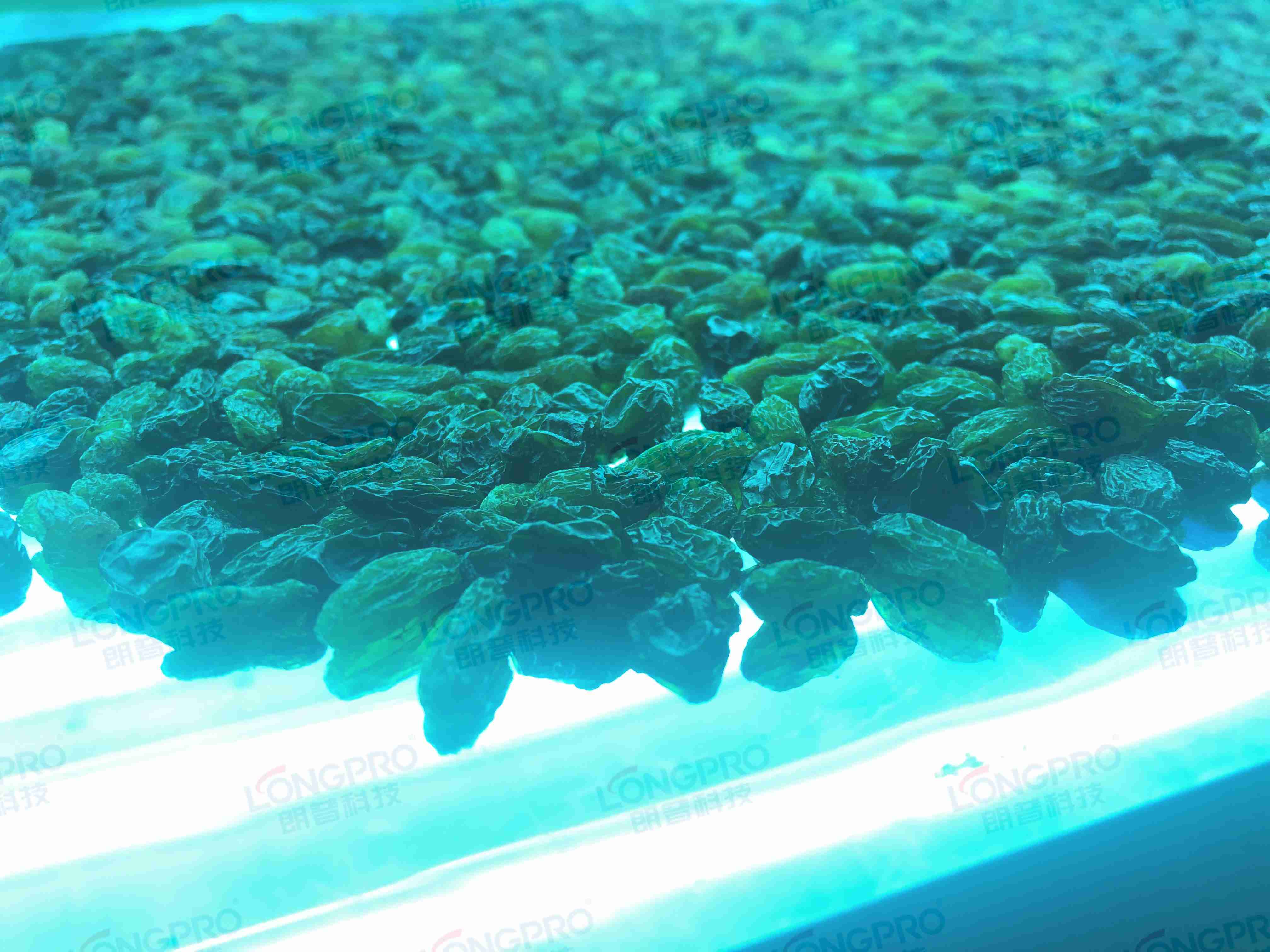 食品細(xì)菌超標(biāo)怎么解決？utf-8