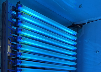 如何通過UV紫外光照實(shí)驗(yàn)箱構(gòu)建動(dòng)物皮膚光老化模型？